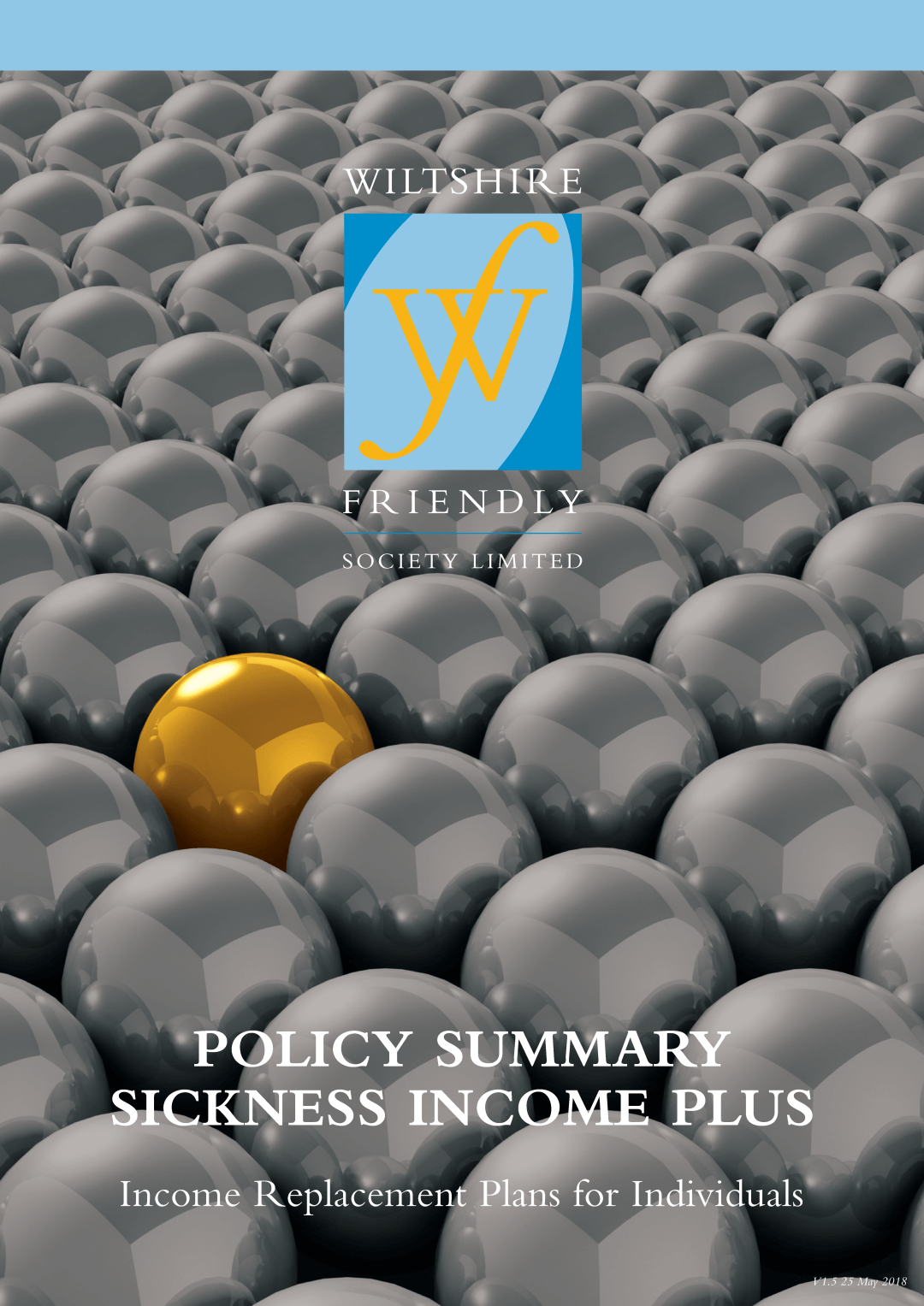 Holloway Policy Summary